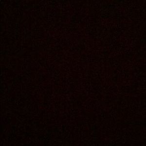 Meet your Posher, Noah